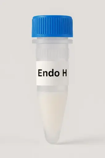 [Y-GEN-03] Endo H (Endoglycosidase H)