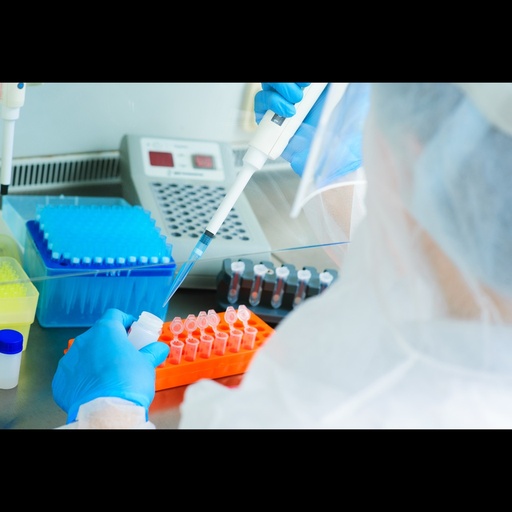 [0597-Oneq-V143-50D] Babesia equi One Step PCR   50 Reactions